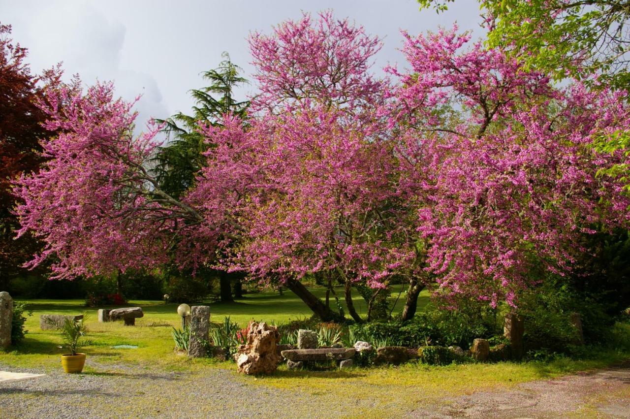 Trégunc Domaine Les Grandes Roches Bed & Breakfast エクステリア 写真