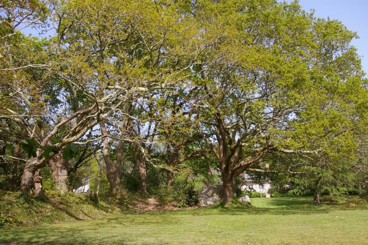 Trégunc Domaine Les Grandes Roches Bed & Breakfast エクステリア 写真