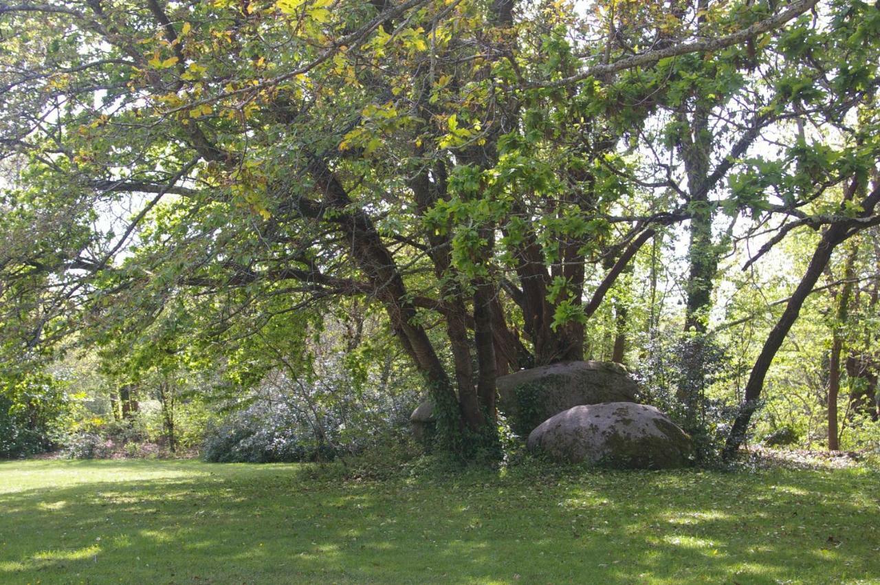 Trégunc Domaine Les Grandes Roches Bed & Breakfast エクステリア 写真